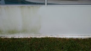 mildew cleaning